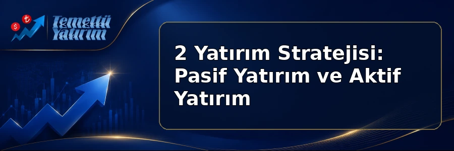 Yatırım stratejisi