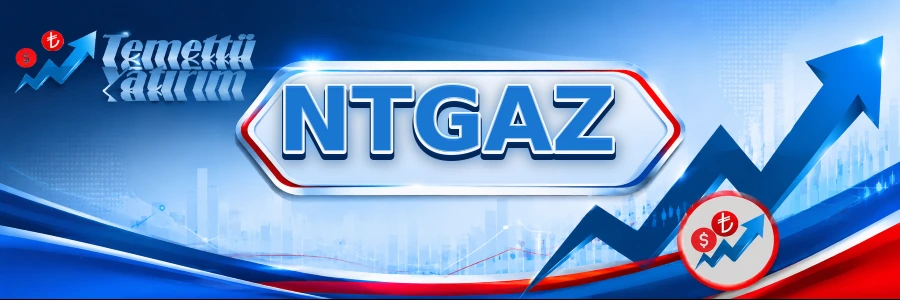 NTGAZ hisse